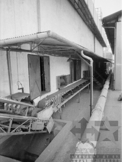 THM-BJ-02218 - Hibridkukorica-termelés a Dalmandi Állami Gazdaságban az 1980-as években 