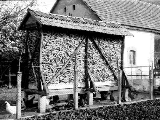THM-BJ-02234 - Kukoricagóré Simontornyán az 1980-as években 