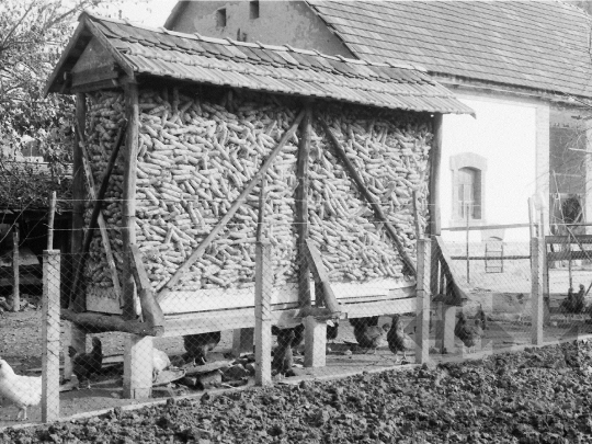 THM-BJ-02235 - Kukoricagóré Simontornyán az 1980-as években 