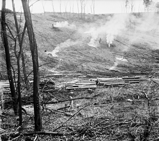 THM-BJ-02314 - Favágás Lengyel határában az erdőben az 1960-as években