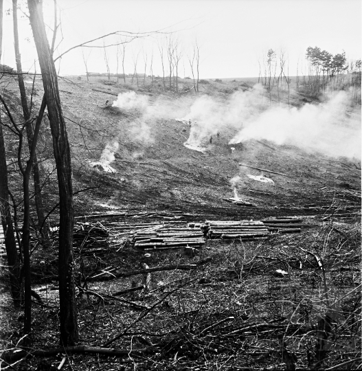THM-BJ-02315 - Favágás Lengyel határában az erdőben az 1960-as években