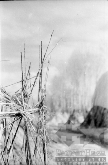 THM-BJ-02488 - Bátaszéki kendergyár építése Furkópusztán az 1960-as években 