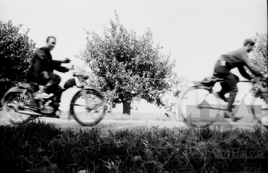 THM-BJ-02522 - Munka a mözsi termelőszövetkezetben az 1960-as években 