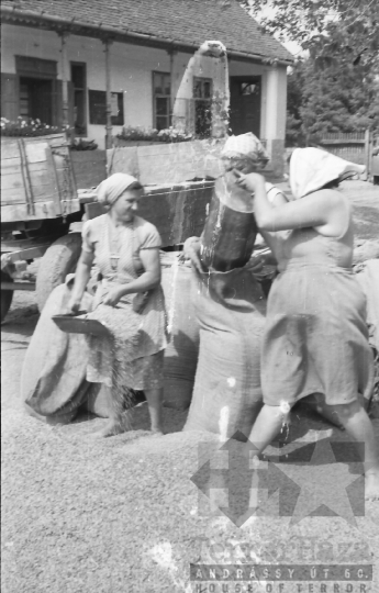 THM-BJ-02578 - Munka a dunaszentgyörgyi termelőszövetkezetben az 1960-as években 