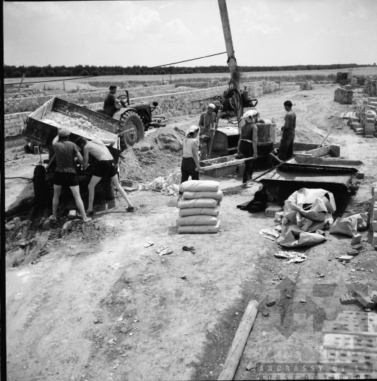 THM-BJ-02621 - Munka a nagyszokolyi termelőszövetkezetben az 1960-as években 