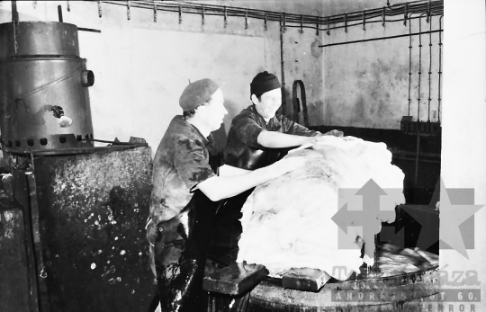 THM-BJ-02660 - Simontornyai Bőrgyár az 1960-as években 