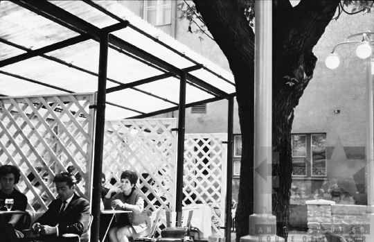 THM-BJ-02784 - Szekszárdi presszó az 1960-as években