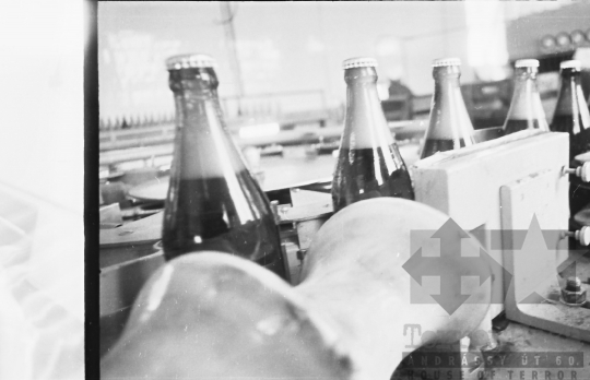THM-BJ-02810 - Pannónia Sörgyár szekszárdi telephelye az 1960-as években 