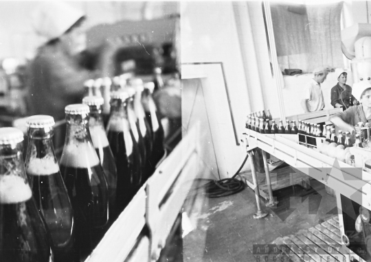 THM-BJ-02812 - Pannónia Sörgyár szekszárdi telephelye az 1960-as években 