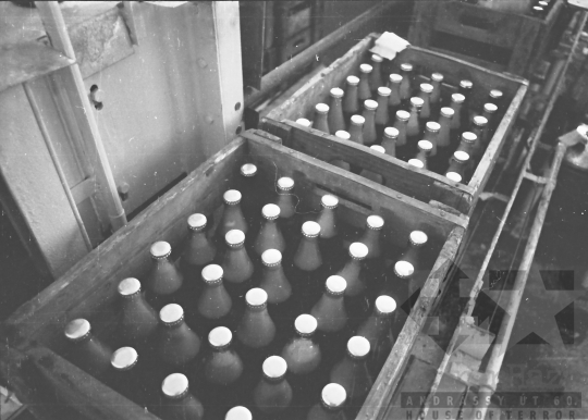 THM-BJ-02814 - Pannónia Sörgyár szekszárdi telephelye az 1960-as években 