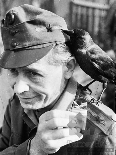 THM-BJ-03070 - Katonai cenzorok a balatonaligai pártüdülőben az 1970-es években 