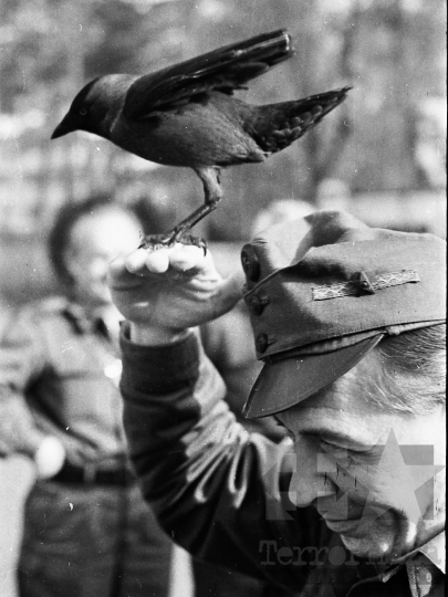 THM-BJ-03072 - Katonai cenzorok a balatonaligai pártüdülőben az 1970-es években 