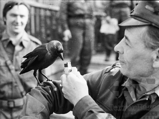 THM-BJ-03077 - Katonai cenzorok a balatonaligai pártüdülőben az 1970-es években 