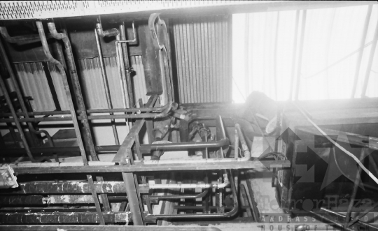 THM-BJ-03131 - Tolna Megyei Tejipari Vállalat szekszárdi tejüzeme az 1980-as években 