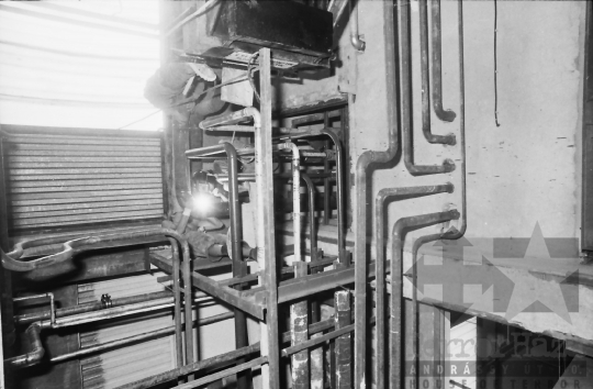 THM-BJ-03132 - Tolna Megyei Tejipari Vállalat szekszárdi tejüzeme az 1980-as években 