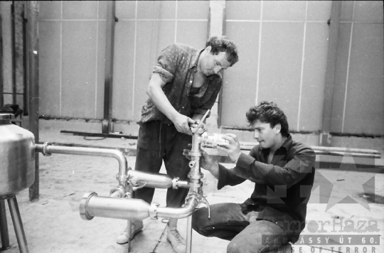 THM-BJ-03133 - Tolna Megyei Tejipari Vállalat szekszárdi tejüzeme az 1980-as években 