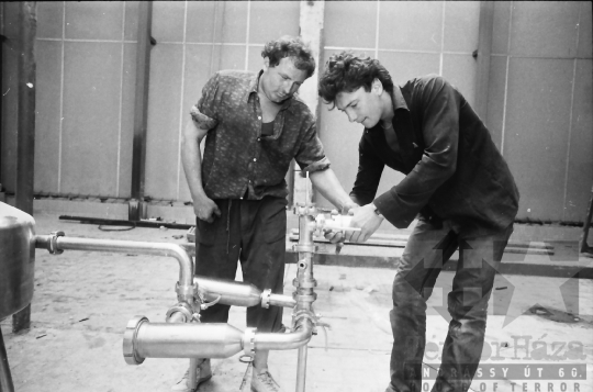 THM-BJ-03134 - Tolna Megyei Tejipari Vállalat szekszárdi tejüzeme az 1980-as években 