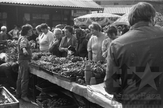 THM-BJ-03297 - Heti piac Szekszárdon az 1980-as években