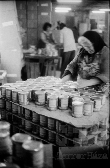 THM-BJ-03440 - Paksi konzervgyár az 1960-as években 