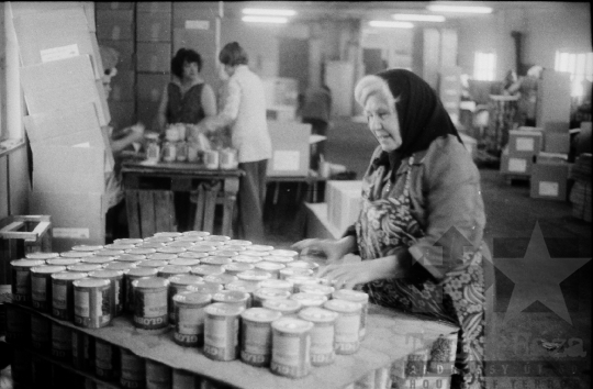 THM-BJ-03441 - Paksi konzervgyár az 1960-as években 