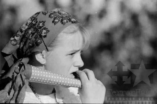 THM-BJ-03689 - Népünnepély Pécsváradon az 1960-as években