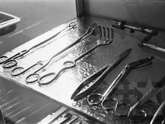 THM-BJ-03745 - Szekszárdi állatkórház az 1970-es években 