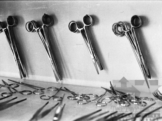 THM-BJ-03751 - Szekszárdi állatkórház az 1970-es években 