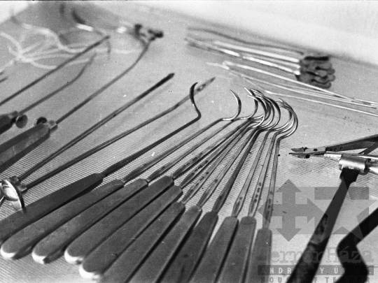 THM-BJ-03752 - Szekszárdi állatkórház az 1970-es években 