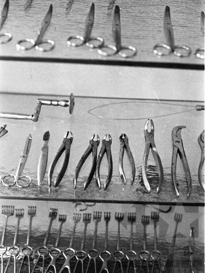 THM-BJ-03753 - Szekszárdi állatkórház az 1970-es években 