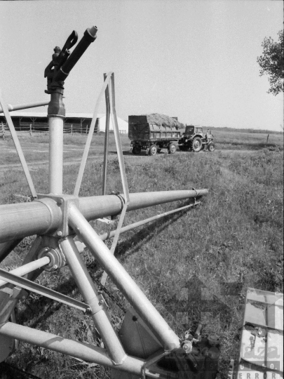 THM-BJ-03898 - Termelőszövetkezet Belecskán az 1980-as években