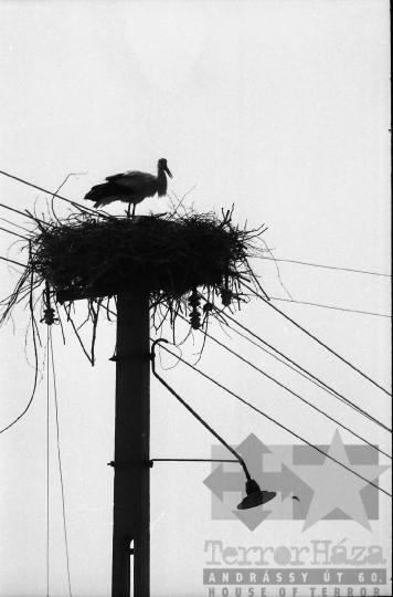 THM-BJ-03903 - Belecskai életkép az 1980-as években