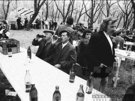 THM-BJ-04096 - Falusi majális Ozorán az 1980-as években 