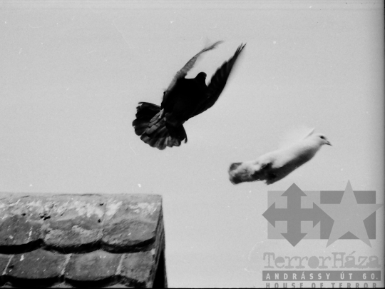 THM-BJ-04136 - Sió menti fiatalok találkozója Simontornyán az 1980-as években 