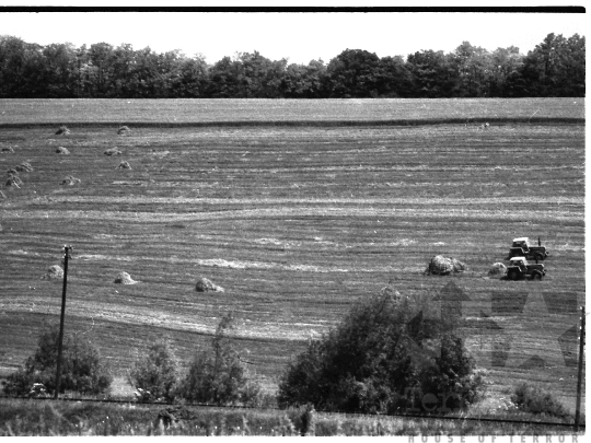 THM-BJ-04147 - Bálázás aratás után Szálkán az 1980-as években