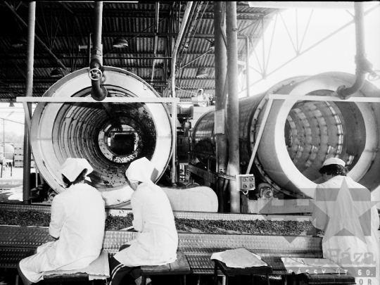 THM-BJ-04213 - Paksi konzervgyár az 1980-as években 