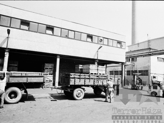 THM-BJ-04217 - Paksi konzervgyár az 1980-as években 