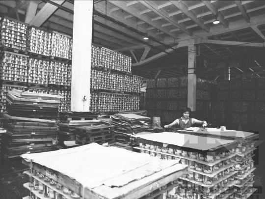 THM-BJ-04223 - Paksi konzervgyár az 1980-as években 