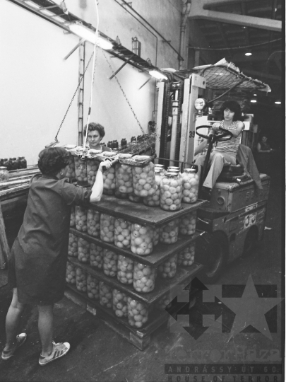 THM-BJ-04225 - Paksi konzervgyár az 1980-as években 