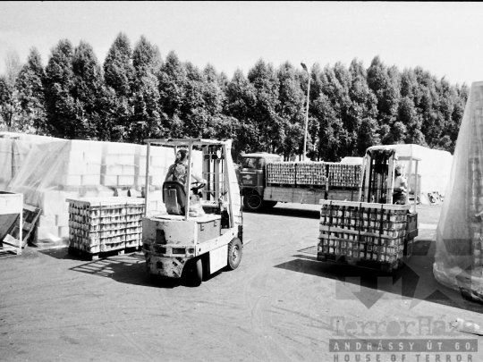 THM-BJ-04228 - Paksi konzervgyár az 1980-as években 