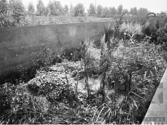 THM-BJ-04235 - Paksi Állami Gazdaság vízműtelepe az 1980-as években 