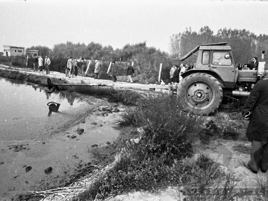 THM-BJ-04282 - Hígtrágyázási bemutató az 1980-as években 