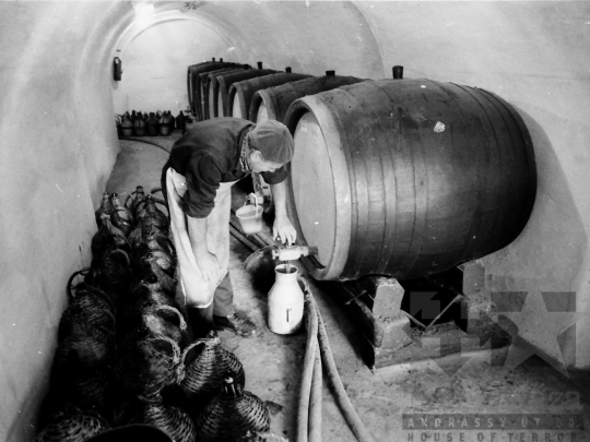 THM-BJ-04324 - Szekszárdi Szeszipari Vállalat az 1980-as években 