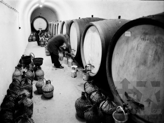 THM-BJ-04329 - Szekszárdi Szeszipari Vállalat az 1980-as években 