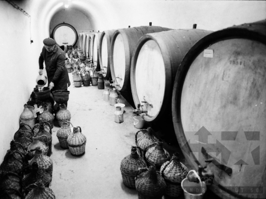 THM-BJ-04330 - Szekszárdi Szeszipari Vállalat az 1980-as években 