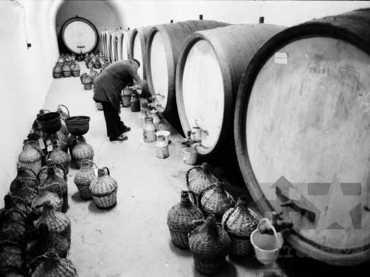 THM-BJ-04332 - Szekszárdi Szeszipari Vállalat az 1980-as években 