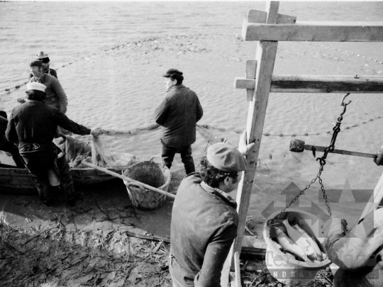 THM-BJ-04356 - Őszi lehalászás Tamásiban az 1980-as években