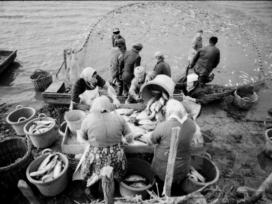 THM-BJ-04361 - Őszi lehalászás Tamásiban az 1980-as években
