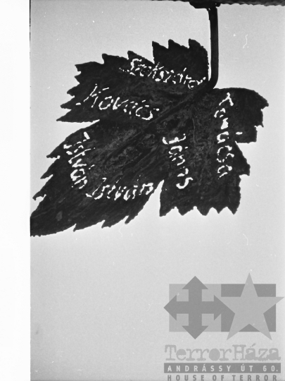 THM-BJ-04394 - Szobor a Kálvária-kilátónál Szekszárdon az 1980-as években