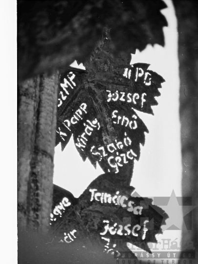 THM-BJ-04396 - Szobor a Kálvária-kilátónál Szekszárdon az 1980-as években