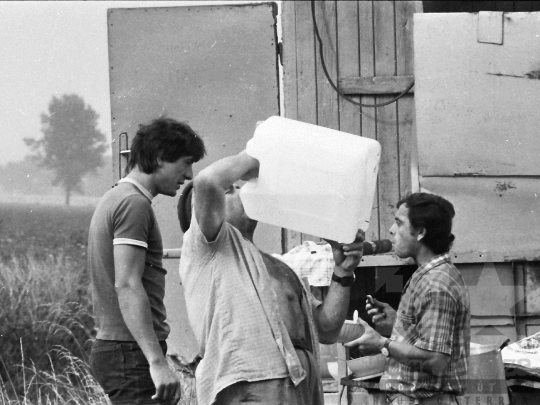 THM-BJ-04424 - Aratás a bátai termelőszövetkezetben az 1980-as években 